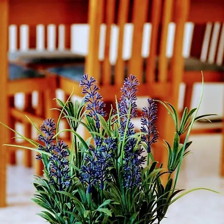 Apartament Irene Double Katoi Simi