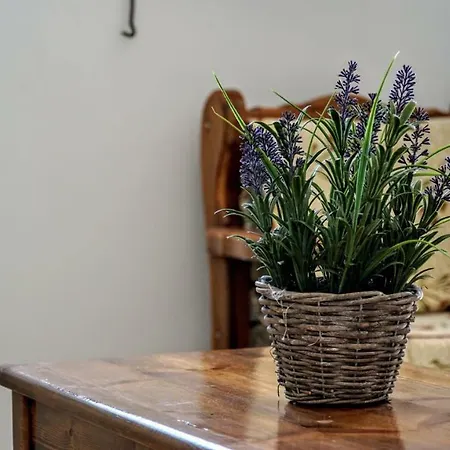 Irene Double Katoi アパート *