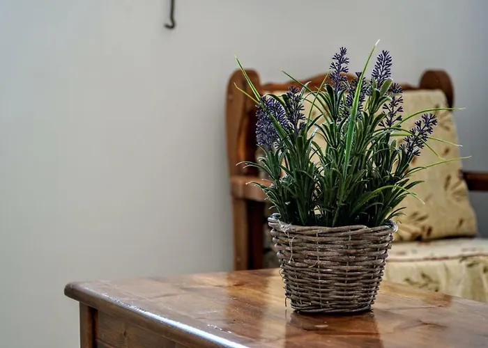 Irene Double Katoi شقة *